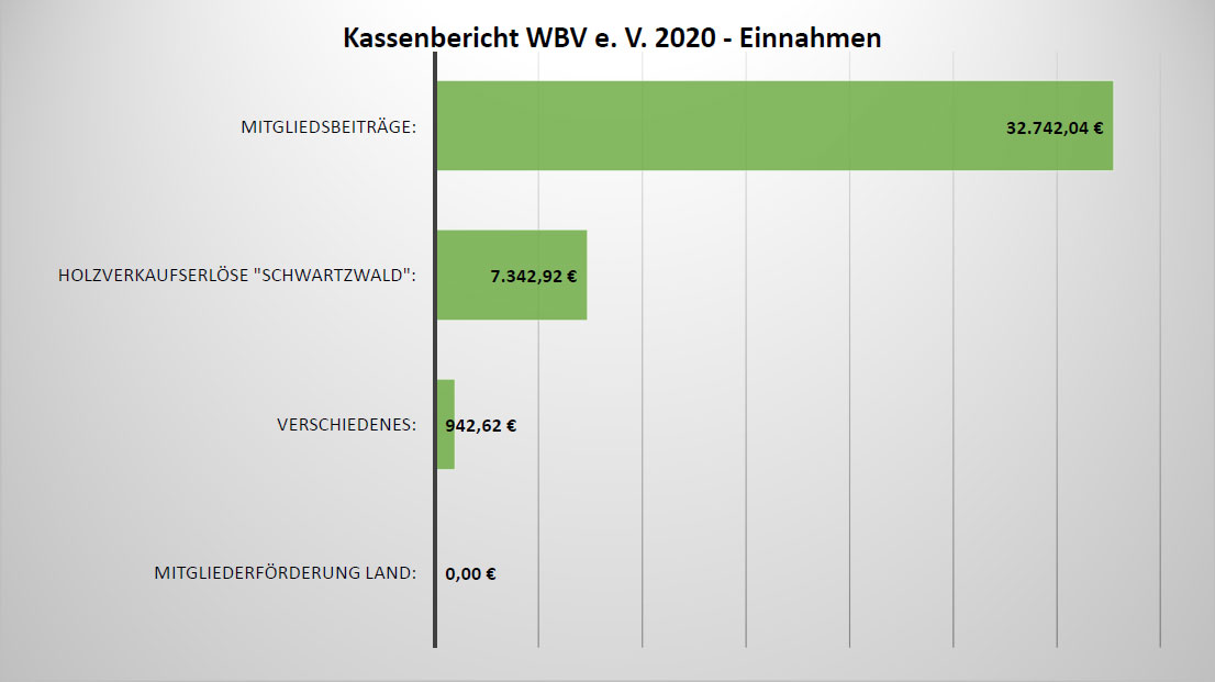 Kassenbericht-WBV-2020-Einnahmen