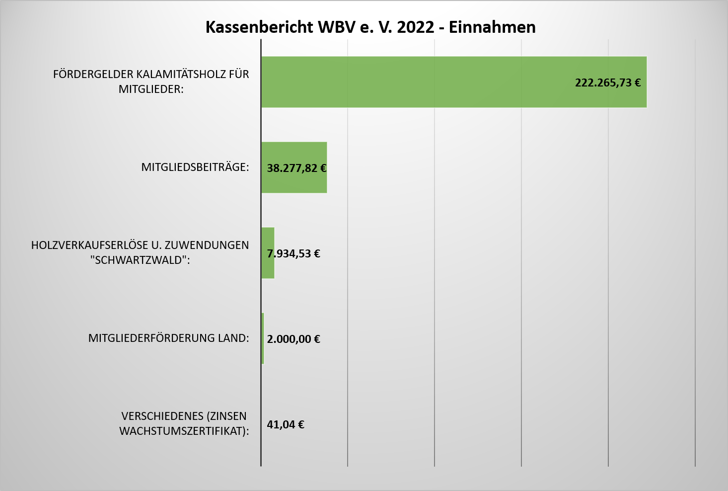 Kassenbericht WBV 2022 Einnahmen